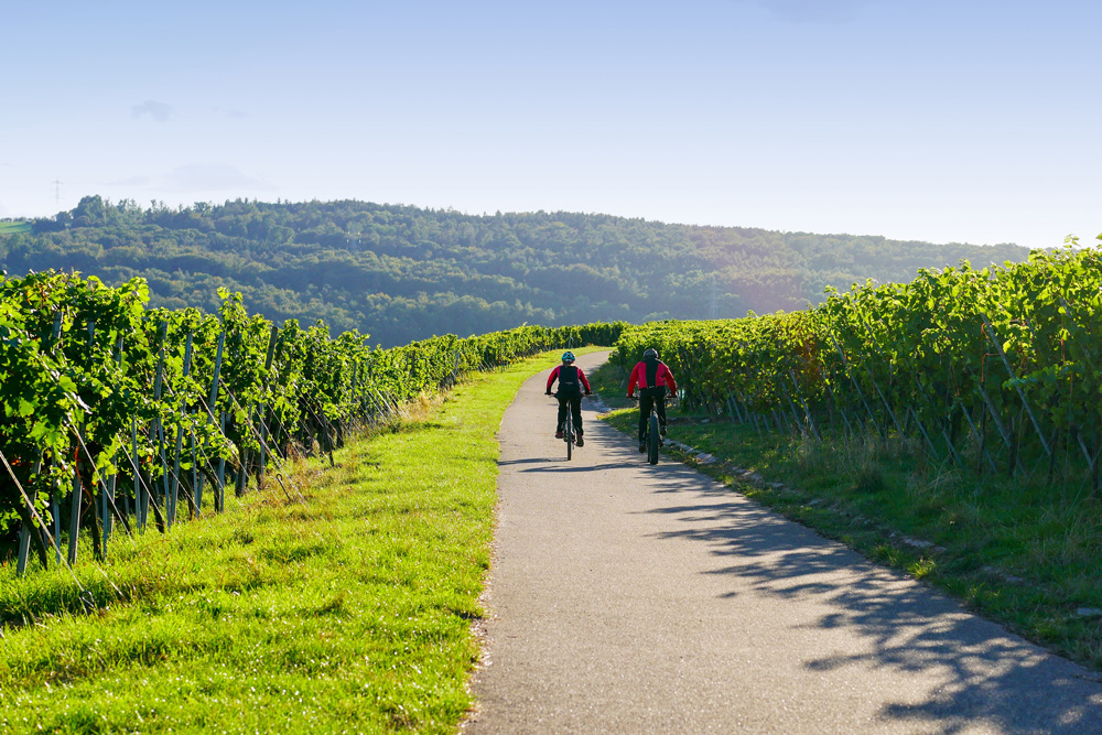 Zwei Radfahrer fahren auf einem Weg durch grüne Weinberge, mit bewaldeten Hügeln im Hintergrund.